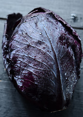 Image showing Red cabbage on dark background