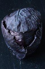 Image showing Red cabbage on dark background