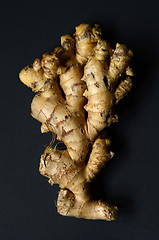 Image showing Ginger root closeup 