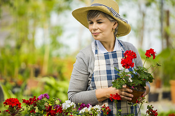 Image showing A day in a green house