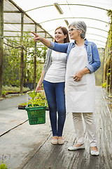 Image showing Worker and customer in a green house