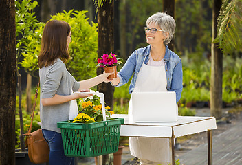 Image showing Worker and customer in a green house