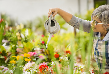 Image showing Mature woman watering flowers