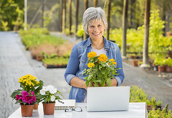 Image showing Working in a flower shop