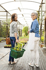 Image showing Worker and customer in a green house