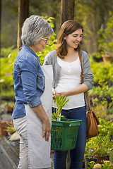 Image showing Worker and customer in a green house