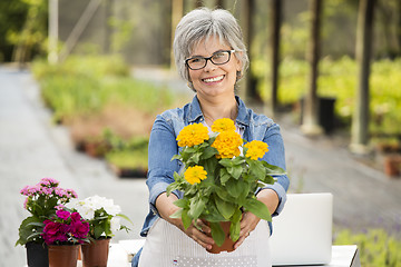 Image showing Working in a flower shop