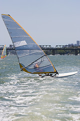 Image showing Sailboarders
