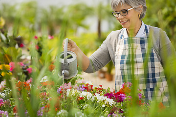 Image showing Mature woman watering flowers