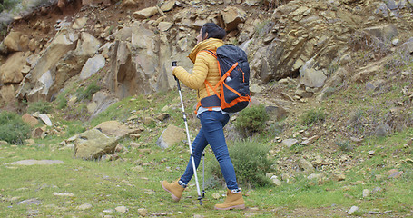 Image showing Active fit young woman on a hiking trail