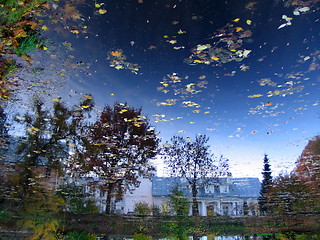 Image showing reflection of sky in pond in botanic garden, Tartu, Estonia