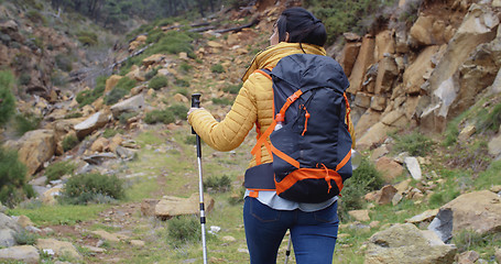 Image showing Active fit young woman on a hiking trail