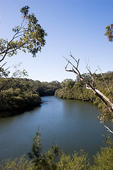 Image showing River Scene