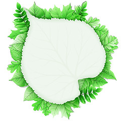 Image showing Fresh green leaves vector border. EPS 10