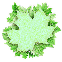 Image showing Fresh green leaves vector border. EPS 10