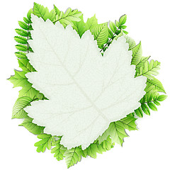 Image showing Fresh green leaves vector border. EPS 10