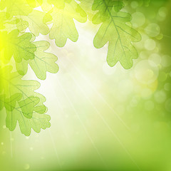 Image showing Background of green leaves. EPS 10