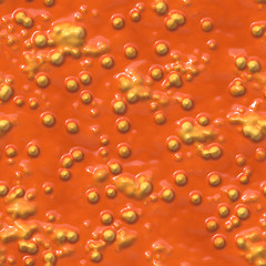 Image showing Lichen and fungi on petri dish