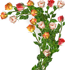 Image showing Celebration background with flowers. EPS 10