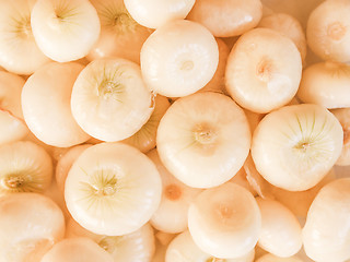 Image showing Retro looking Onions