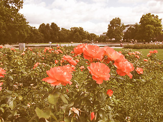 Image showing Gardens in Stuttgart Germany vintage