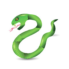 Image showing Cartoon Green Snakes