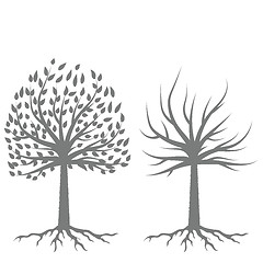 Image showing Two Trees Silhouettes