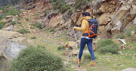 Image showing Active fit young woman on a hiking trail