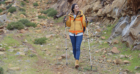 Image showing Fit healthy young woman hiking on a trail