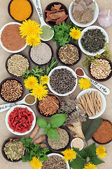 Image showing Spices and Herbs