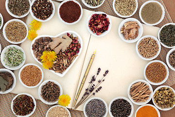 Image showing Female Herbal Medicine