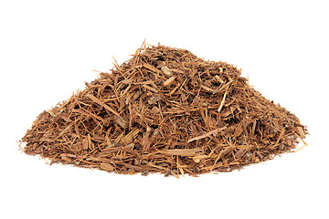 Image showing Catuaba Bark Herb