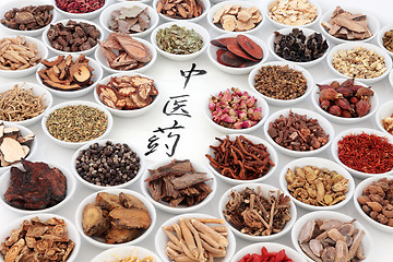 Image showing Chinese Herbal Medicine