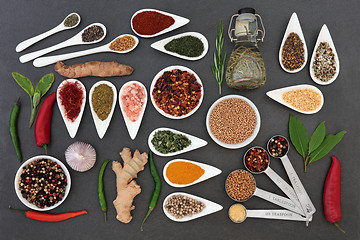 Image showing Culinary Herbs and Spices 