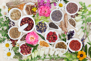 Image showing Alternative Herbal Medicine