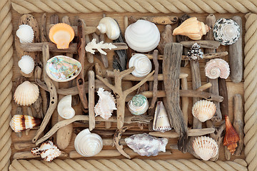 Image showing Driftwood and Sea Shell Abstract