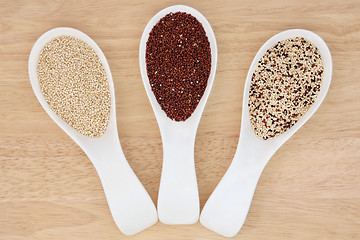 Image showing Quinoa Varieties