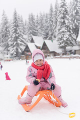 Image showing little girl sitting on sledges