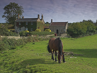 Image showing House and a horse