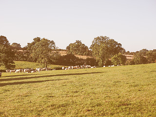 Image showing View of Tanworth in Arden vintage