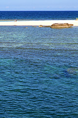 Image showing  blue lagoon   in thailand kho tao bay abstract of a  sea