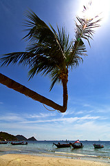 Image showing sun ligt asia   the   tao bay isle white  beach    rocks  boat  