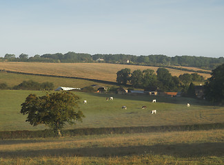 Image showing Countryside