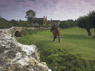 Image showing Countryside Scene