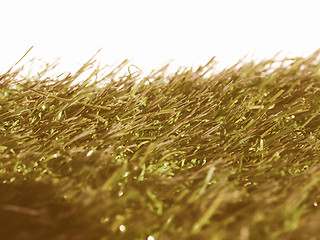 Image showing  Artificial grass vintage