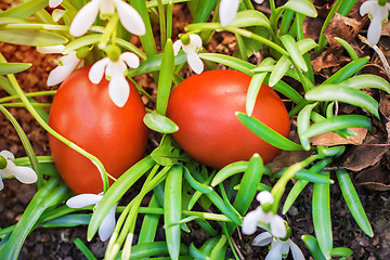 Image showing Two Easter eggs and snowdrops.