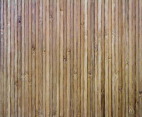 Image showing Background image: detail from mural of bamboo.