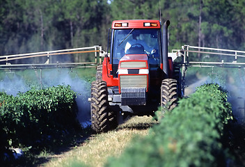 Image showing Crop Spraying