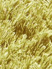 Image showing  Artificial meadow vintage