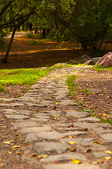 Image showing stone path in autumn park